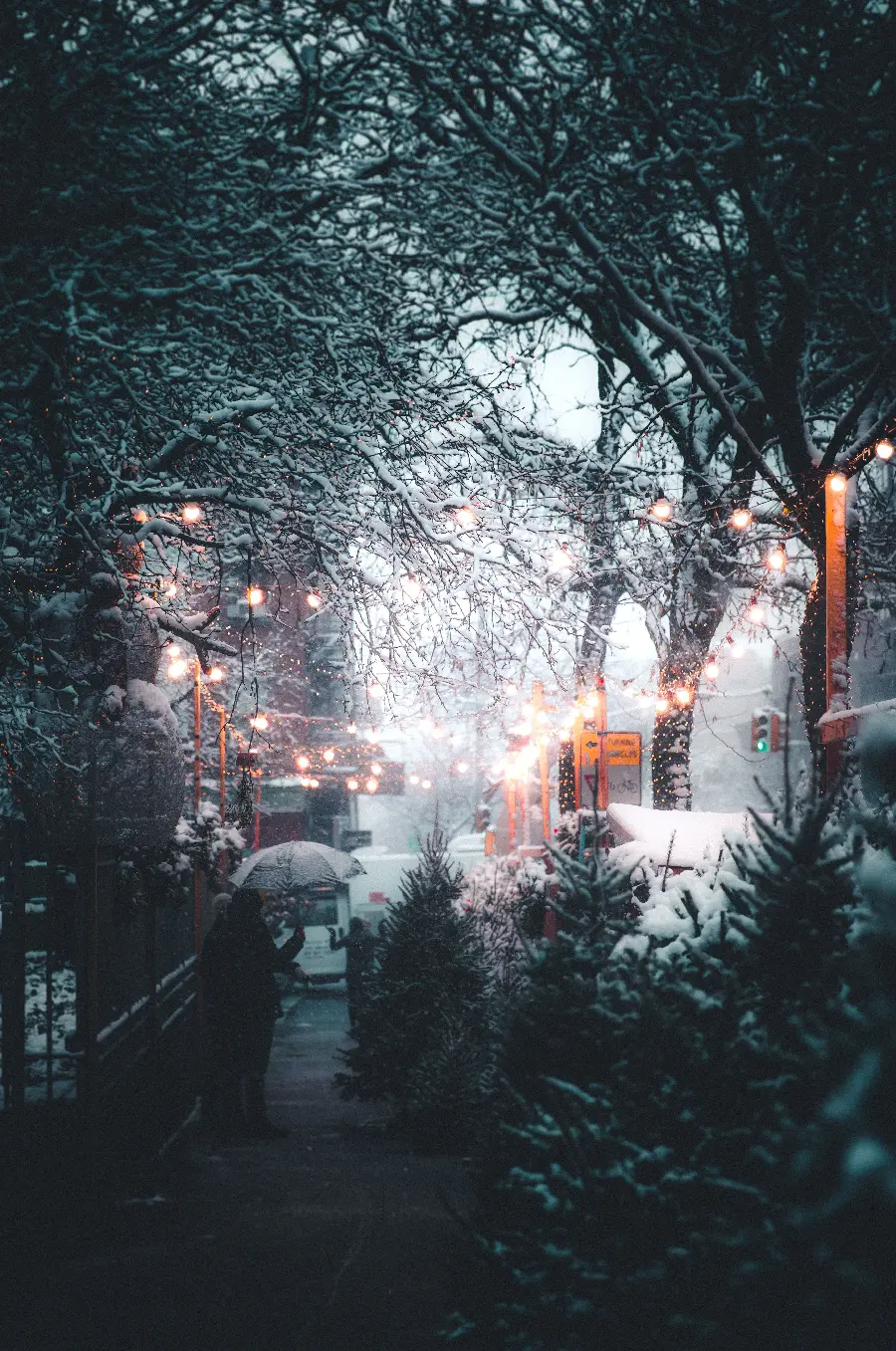 Download winter wallpaper of a snowflake design suitable for all types of phones
