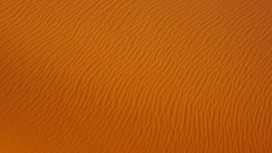 Download a photo of a texture resembling desert sand for design work