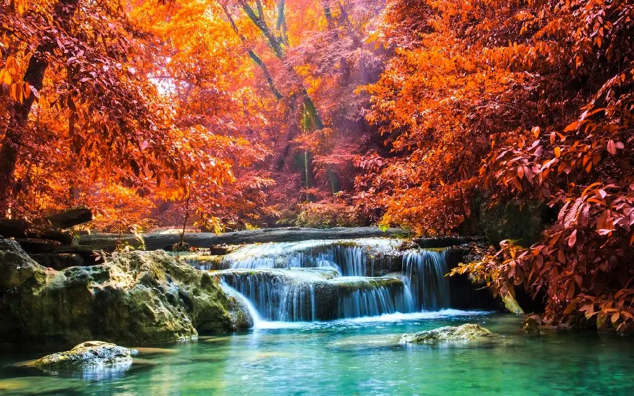 Amazing image of the beauty of autumn waterfall creation 