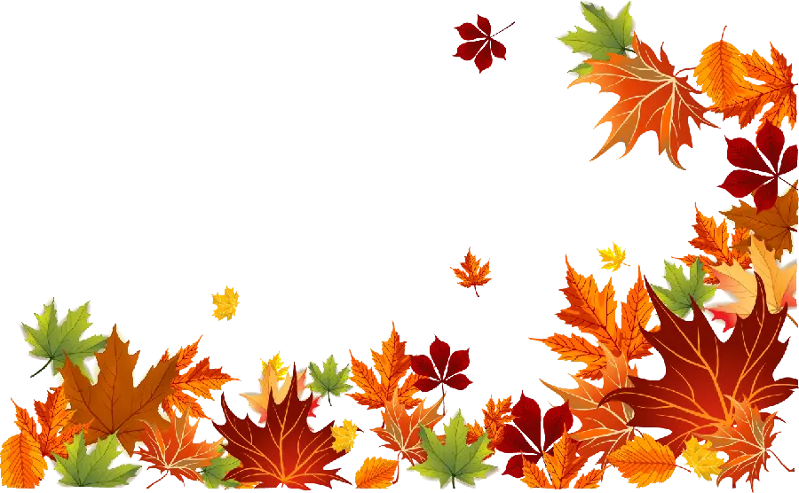 The most mysterious box on the side of the page with the theme of autumn leaves and a white background 