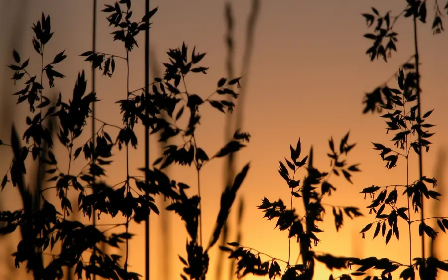 A background image for printing a decorative picture with a spectacular view