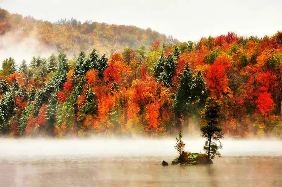 The most dreamy autumn landscape of nature for wallpaper 