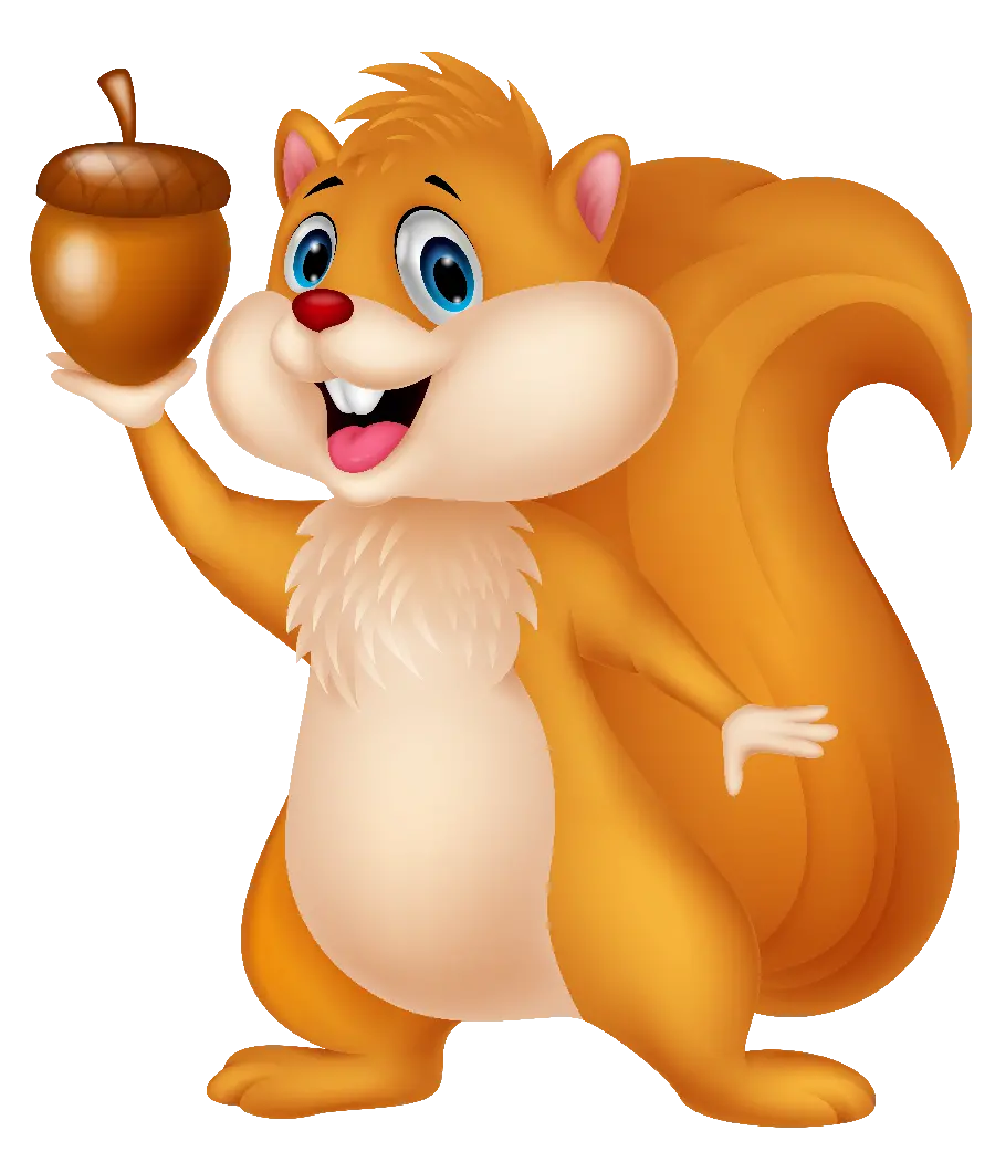 Download the attractive and spectacular graphic photo of a little squirrel PNG