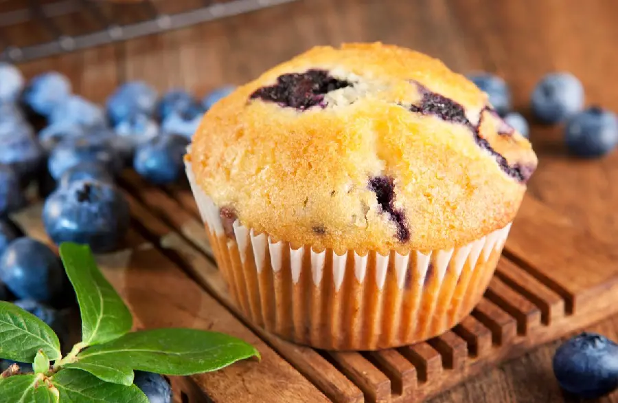 The Most Delicious Yellow Blueberry Cookie Image for Chefs' Profile Photos