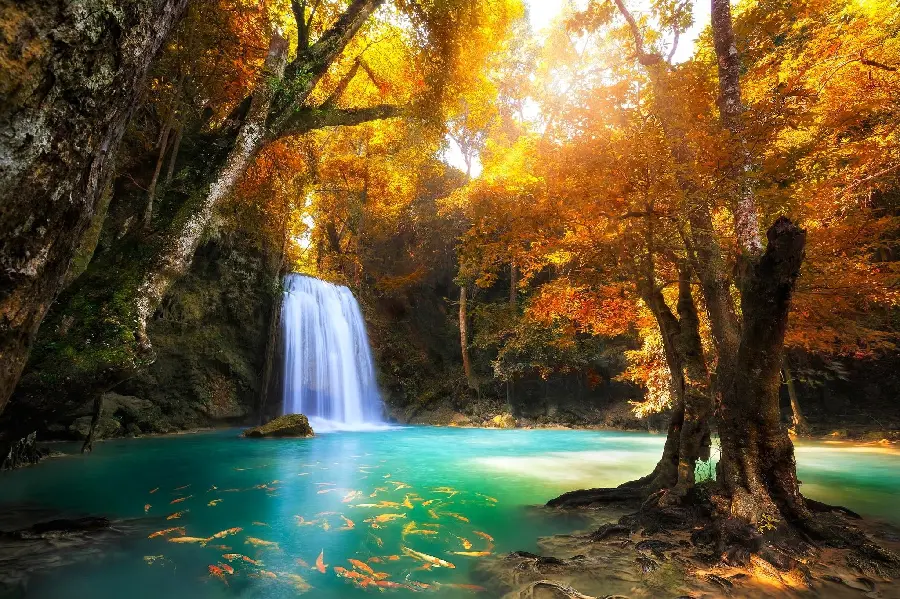 The best photo of a small forest waterfall with an autumn theme For profile and wallpaper 