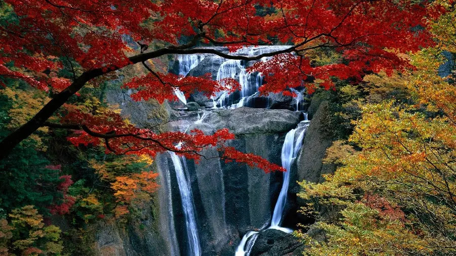 Download stock image of a tall waterfall in a dense autumn forest 