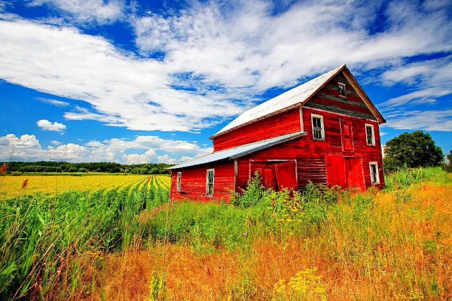 High quality photo of a barn painted in warm colors 