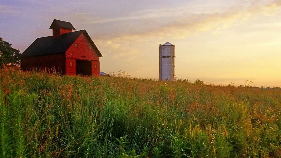 Unique profile photo of a granary combining man-made and nature