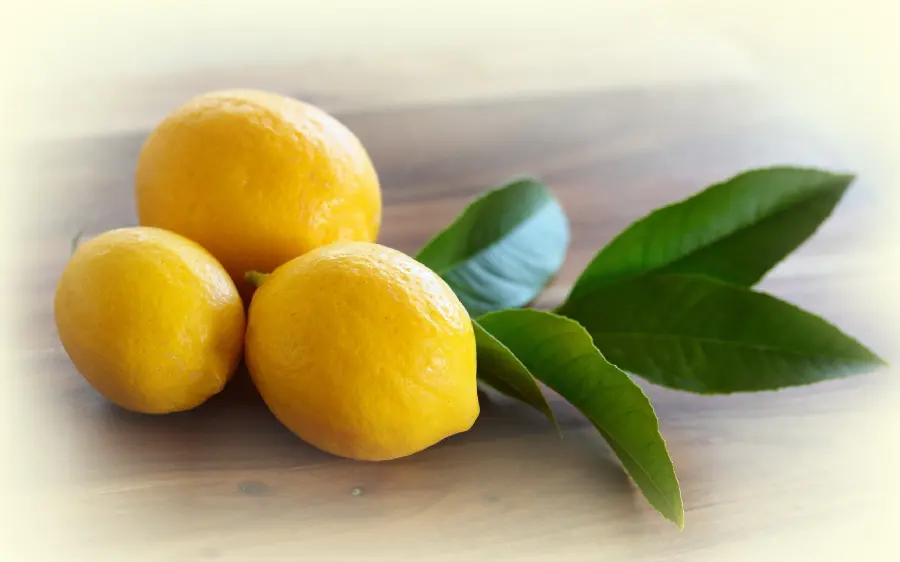 Download free stock photos of mango fruit with the highest quality
