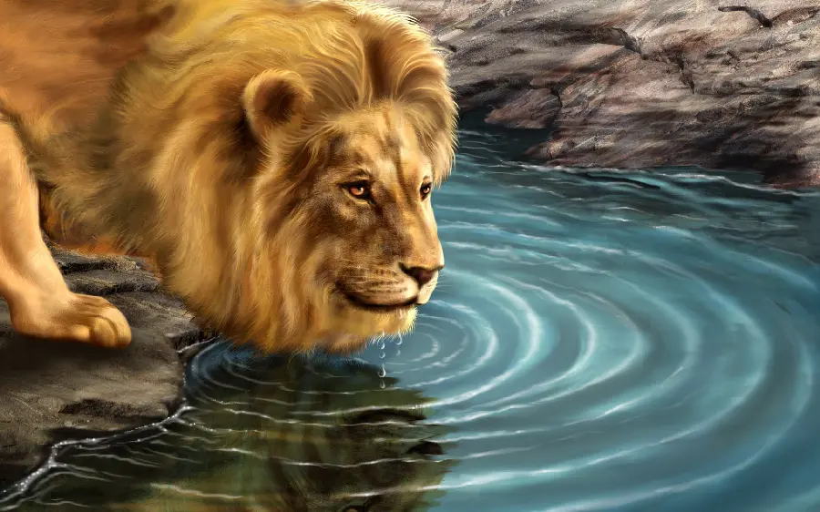 Download the cool background photo of a real golden lion for mobile 