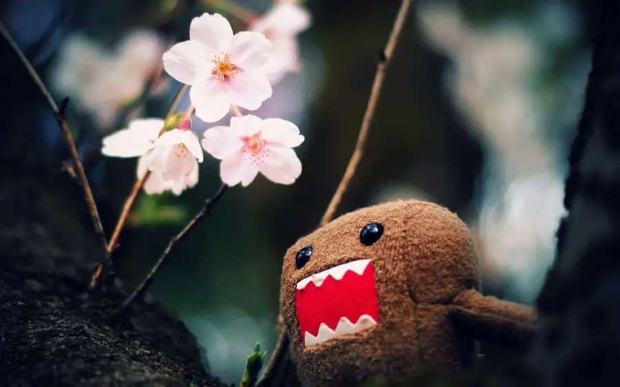 Japanese rag doll next to pink flower wallpaper