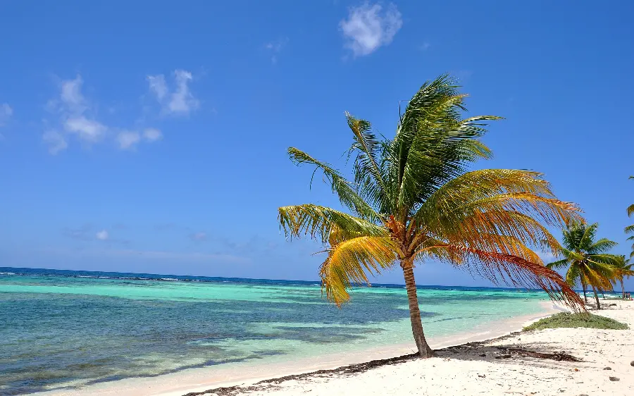 The best background photo with a beautiful and spectacular view for wide monitors