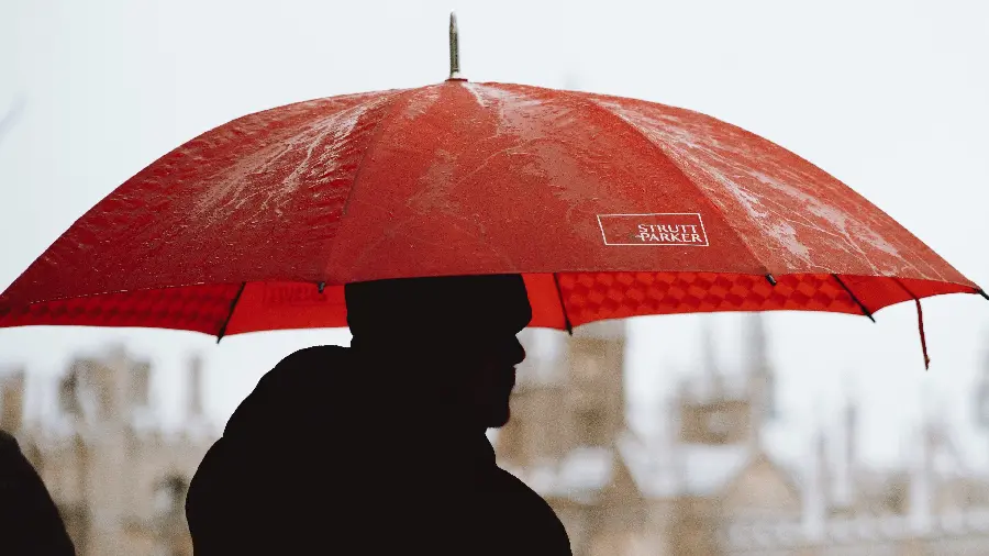 Download cute and romantic profile pictures of a high-quality rain umbrella 