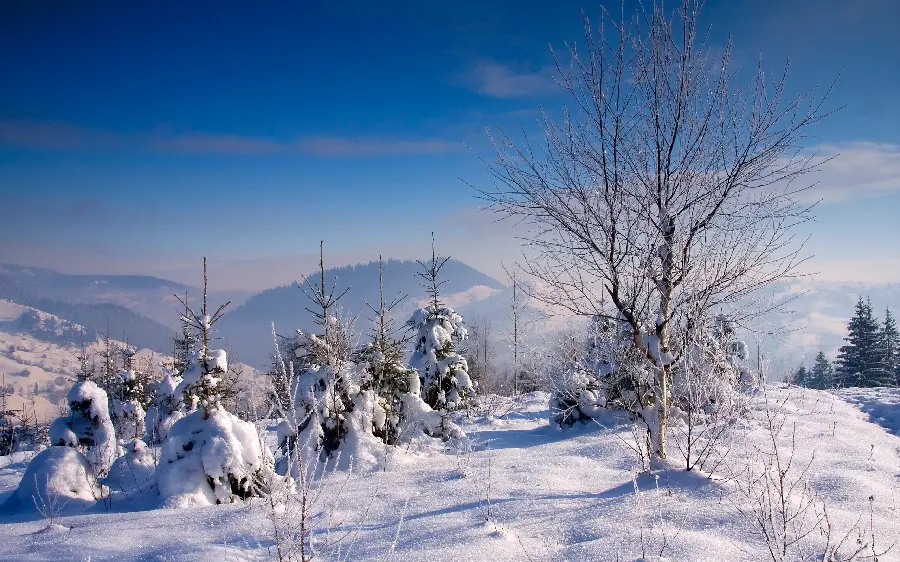 Snowy winter wallpaper for the winter season with the highest quality 