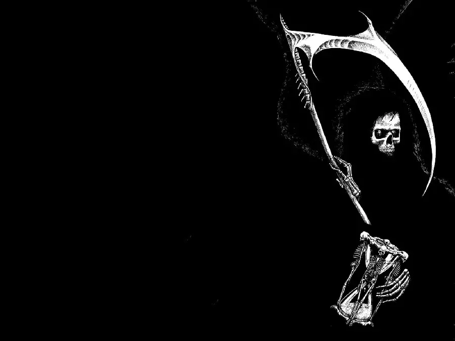 Download a graphic image of a human skull with a black background and 4K quality