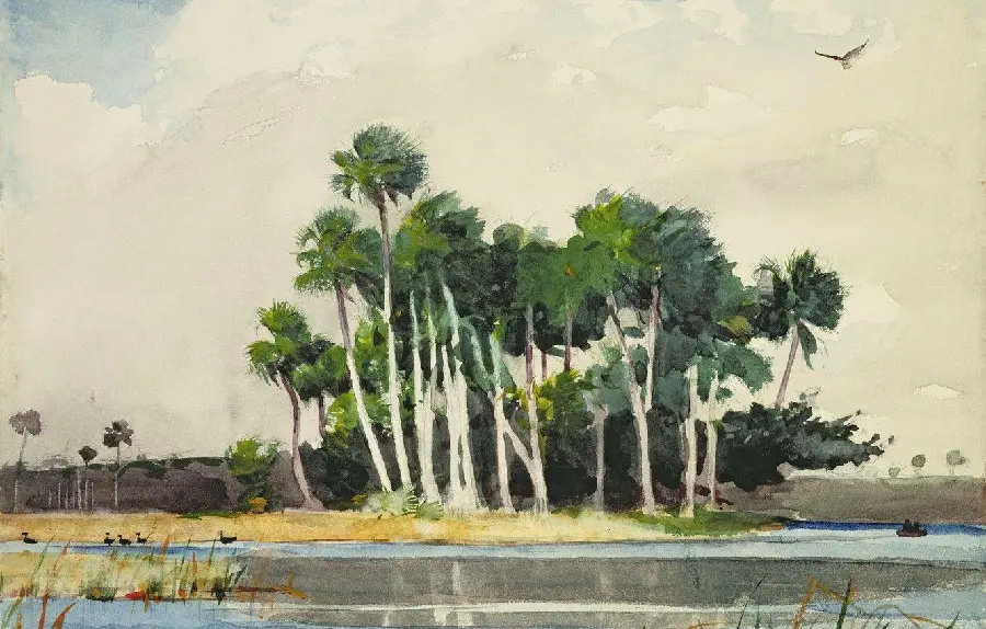 Painting St. Johns River, Florida, poster and print 1890 by Winslow Homer