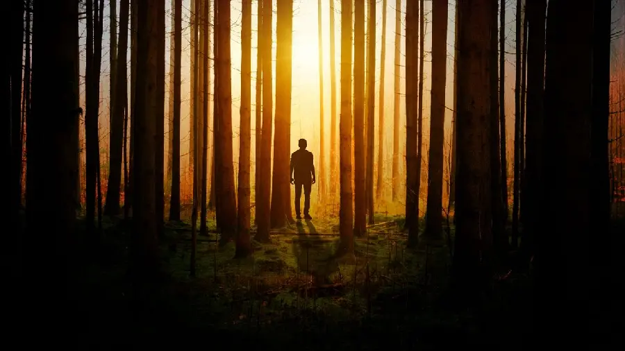 New male and boy profile picture of a lonely man next to tall trees 