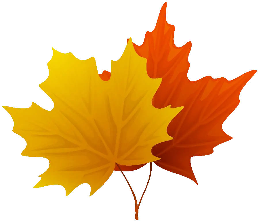 Download graphic painting of yellow and orange autumn leaves