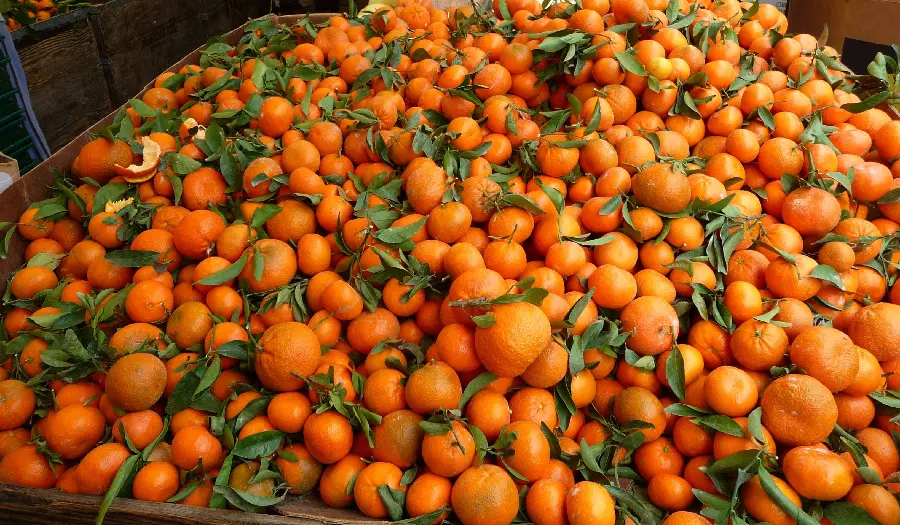 Tangerine