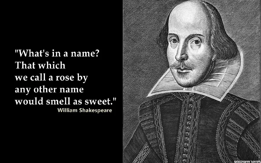 Black and white painting of William Shakespeare with appropriate profile text 