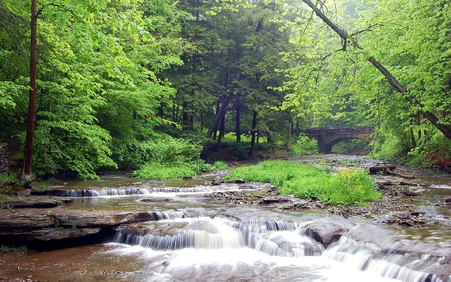 A wonderfully edited photo of lush nature and a raging river
