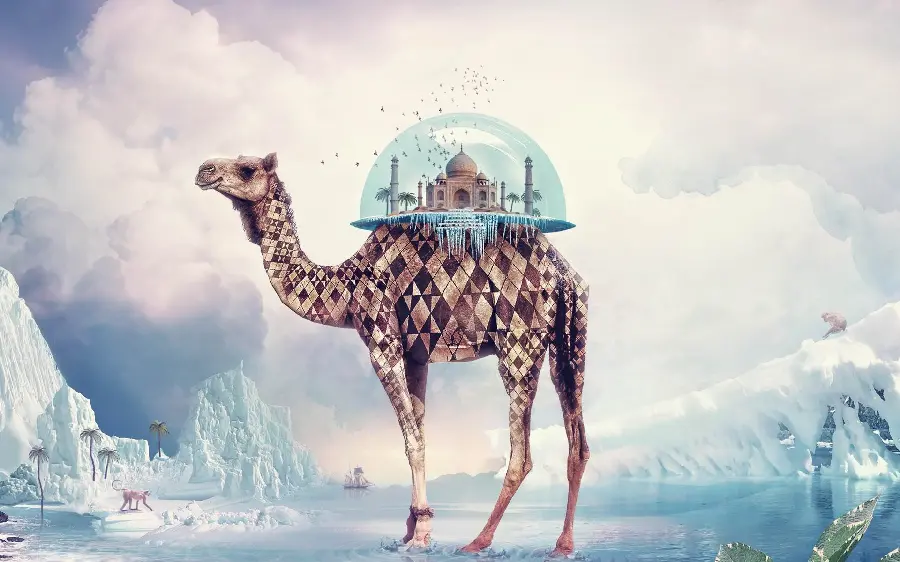 Download the cute and funny camel photo with a simple cloudy background 