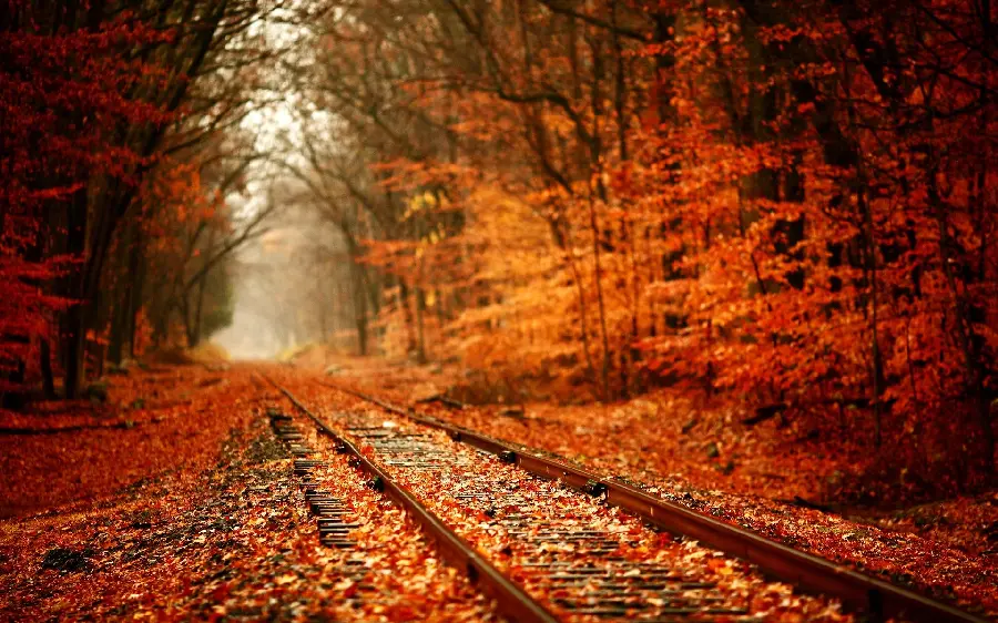 Most visited Autumn Nature Wallpaper for Computer and Laptop 