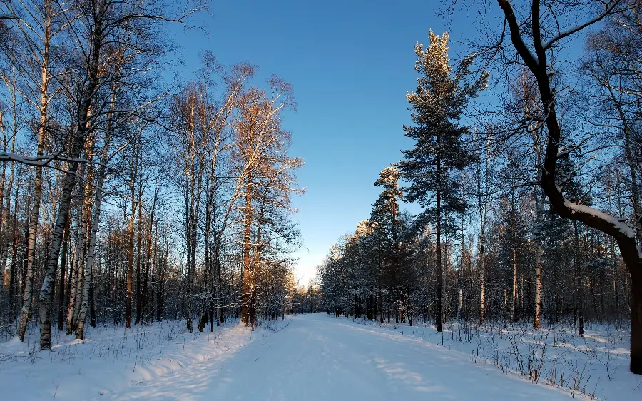 Amazing winter photo of snow covered ground 