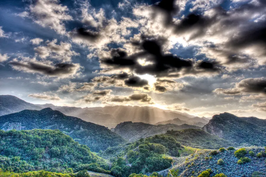 Download photo of a forest landscape with a dreamy and cloudy sky 