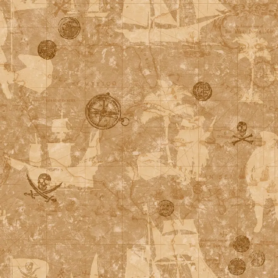 Photo of the oldest historical treasure map from the Achaemenid era 