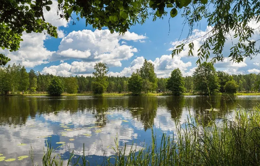 Photo of a dreamy lake, a great place to camp and stay temporarily 