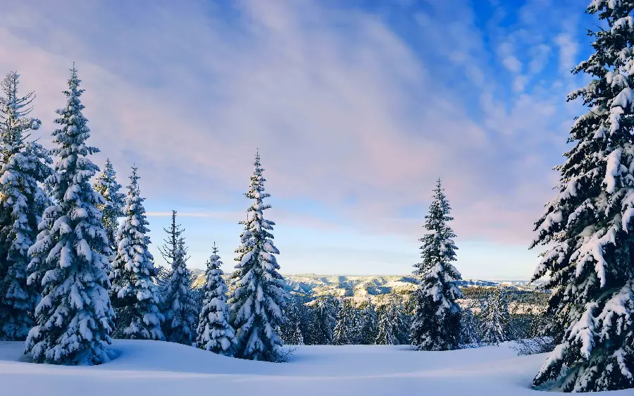 Download the best special and unique nature photo suitable for background