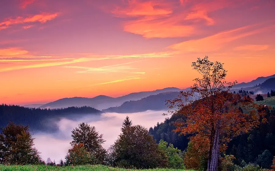 Download an attractive and captivating photo of nature at sunset 