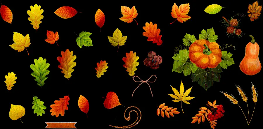 Autumn leaves telephoto photo in PNG format with black background