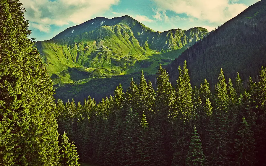 Download photos of a deep valley in the Himalayan mountains 