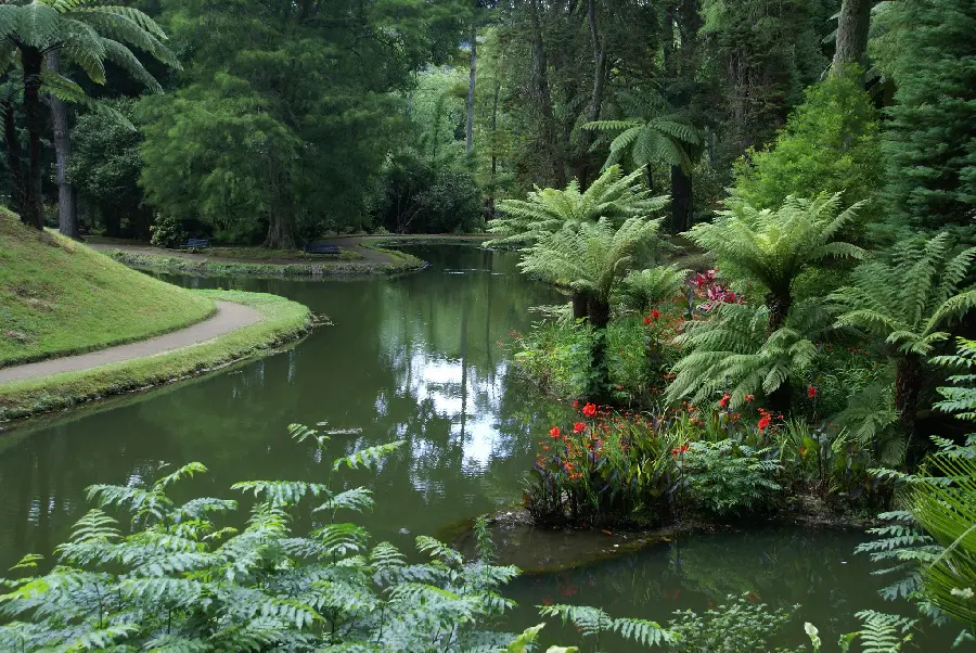 Background photo of the Terra Nostra Park, a botanical garden in Portugal