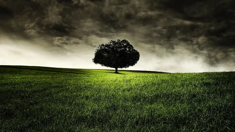One of the most beautiful wallpapers of a nature landscape in a dark surreal style