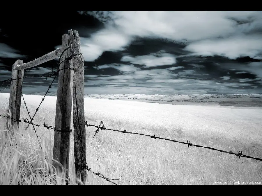 Background photo with edit a From barbed wire in the plain and wheat field