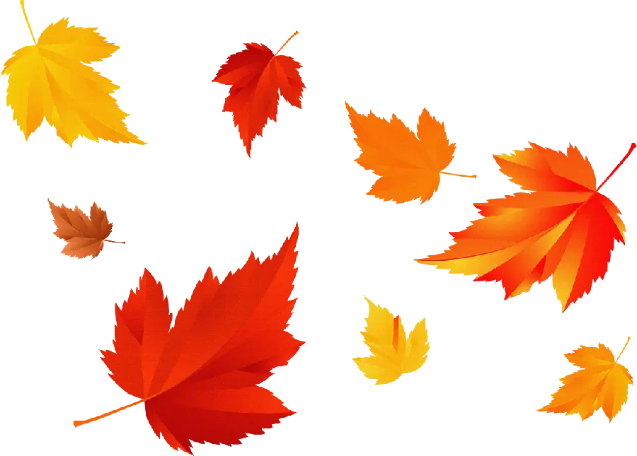 Simple image of autumn leaves design in PNG format and cropped 