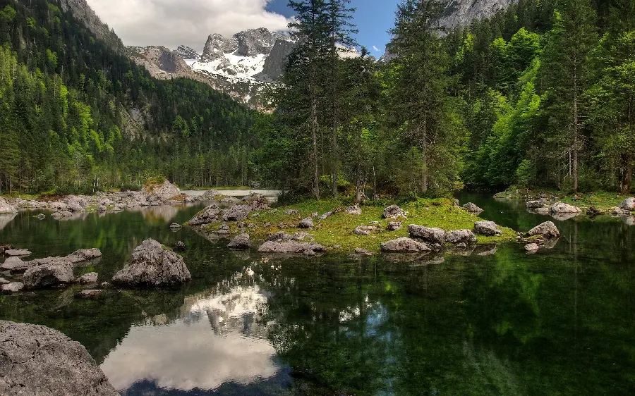 The most beautiful photos of pure and magical nature in one frame 