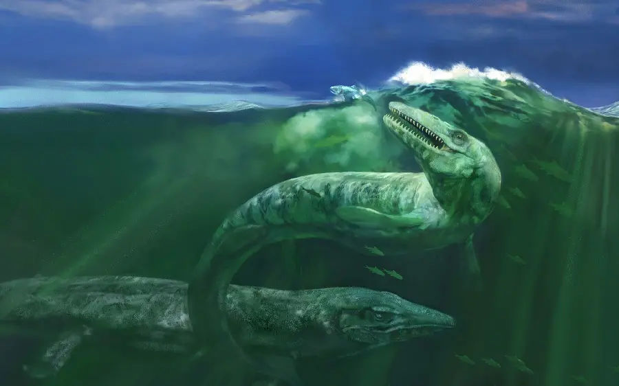 Wallpaper with the most dangerous sea creatures