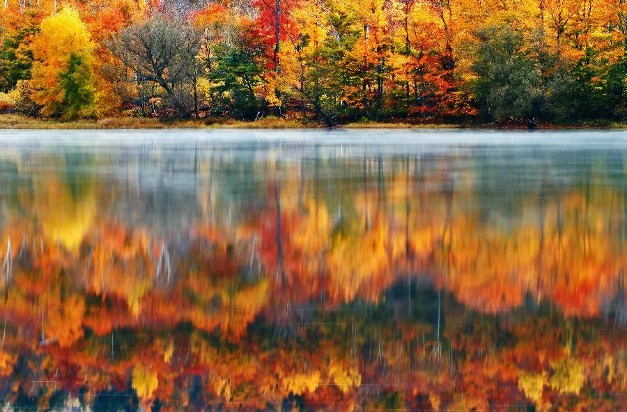 The most beautiful autumn screen photo with warm and pleasant colors 