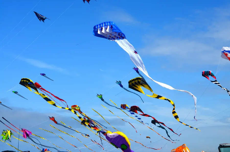 The best wallpaper of a special and colorful kite flying celebration 