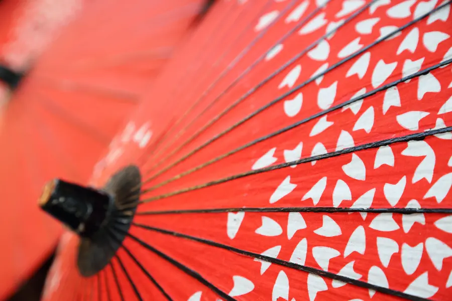 Profile photo of traditional Japanese umbrellas with a beautiful and handmade design
