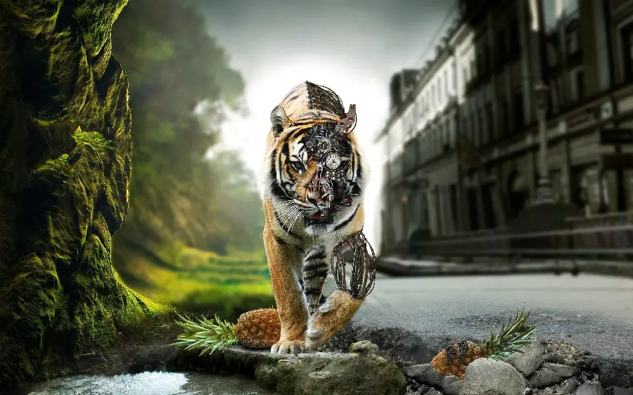 Download an incredibly beautiful wallpaper for FULL HD