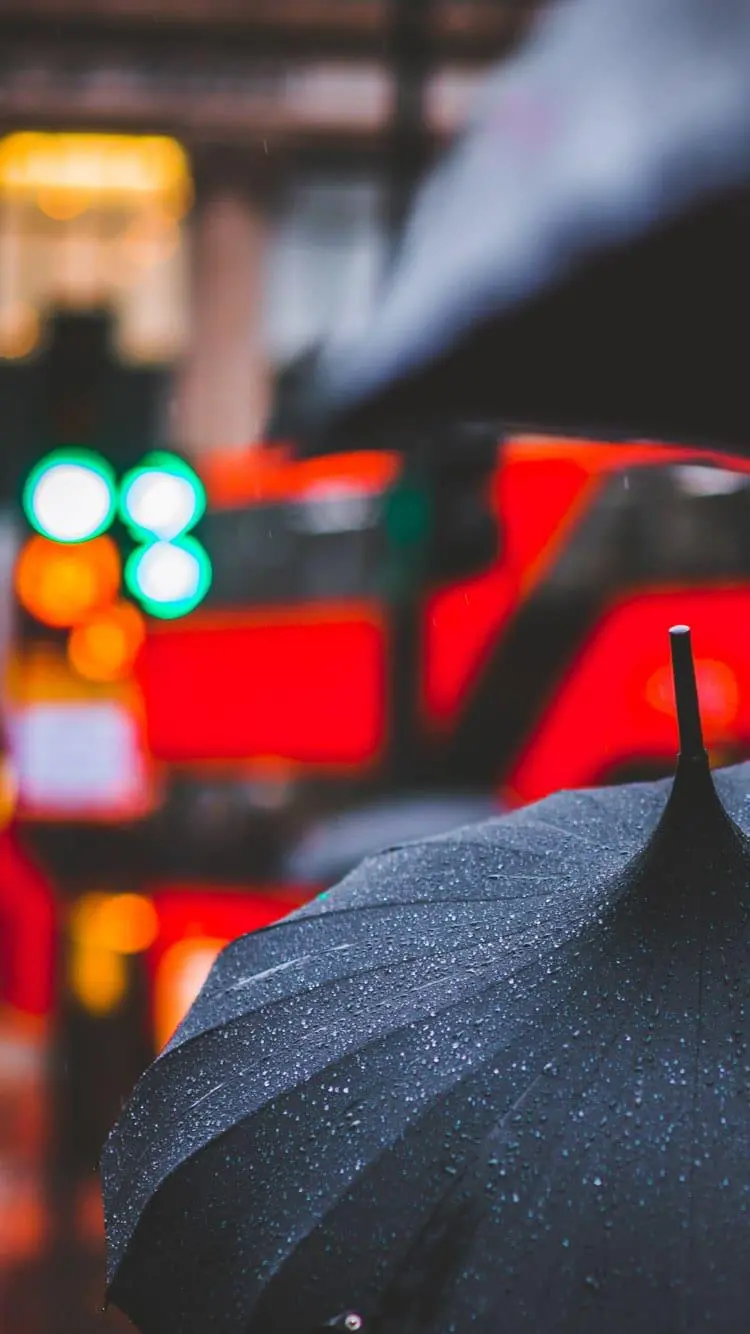 Download a very interesting photo of beautiful umbrellas in high quality 