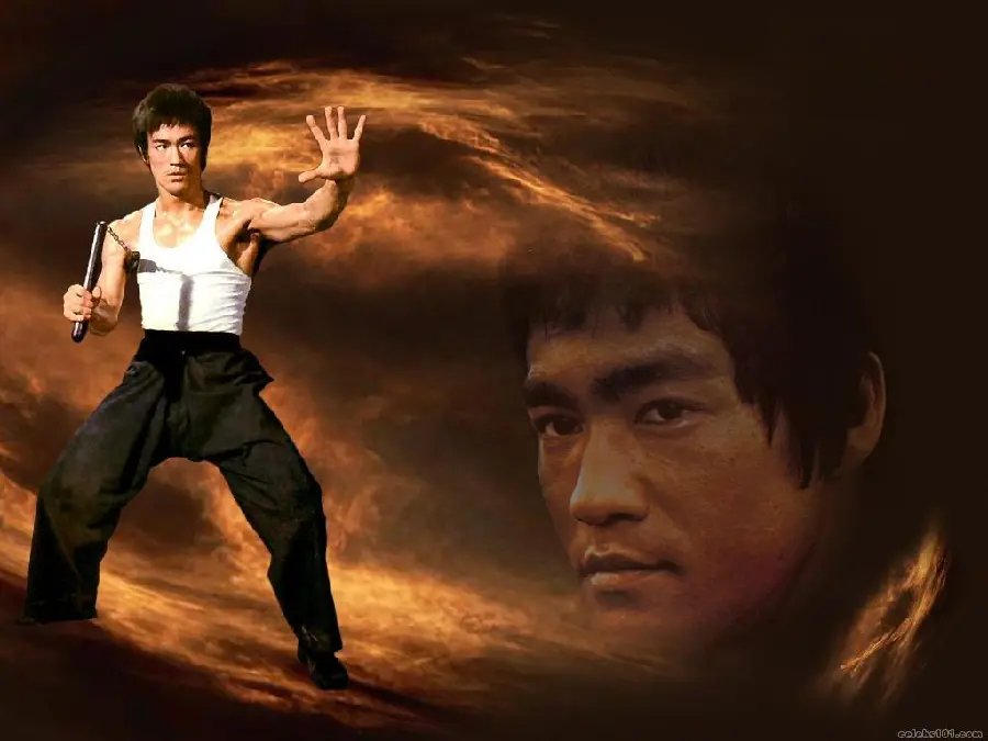 Free download of Bruce Lee photoshopped image with High quality