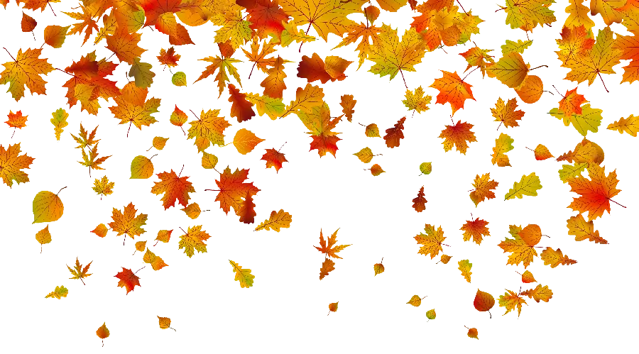 PNG image of frame of autumn leaves falling