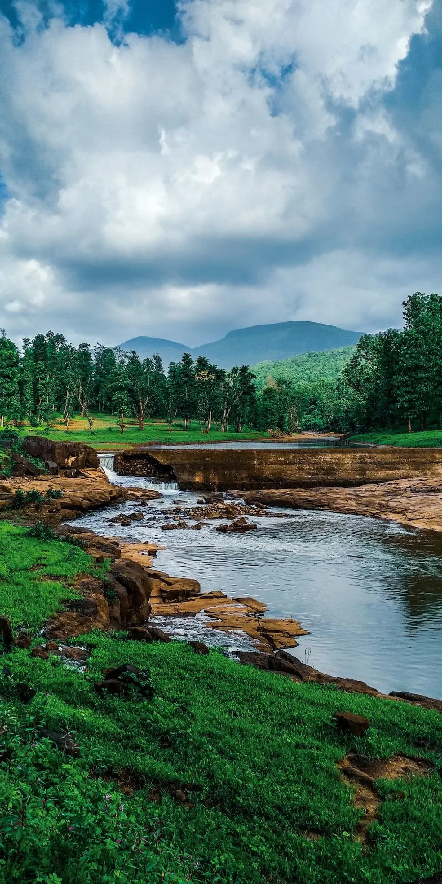 Download stock of spectacular nature with a river view in the middle of the meadow