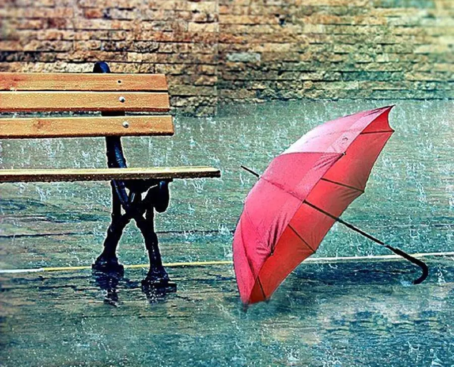 Beautiful and cheerful autumn profile picture of a rain umbrella 